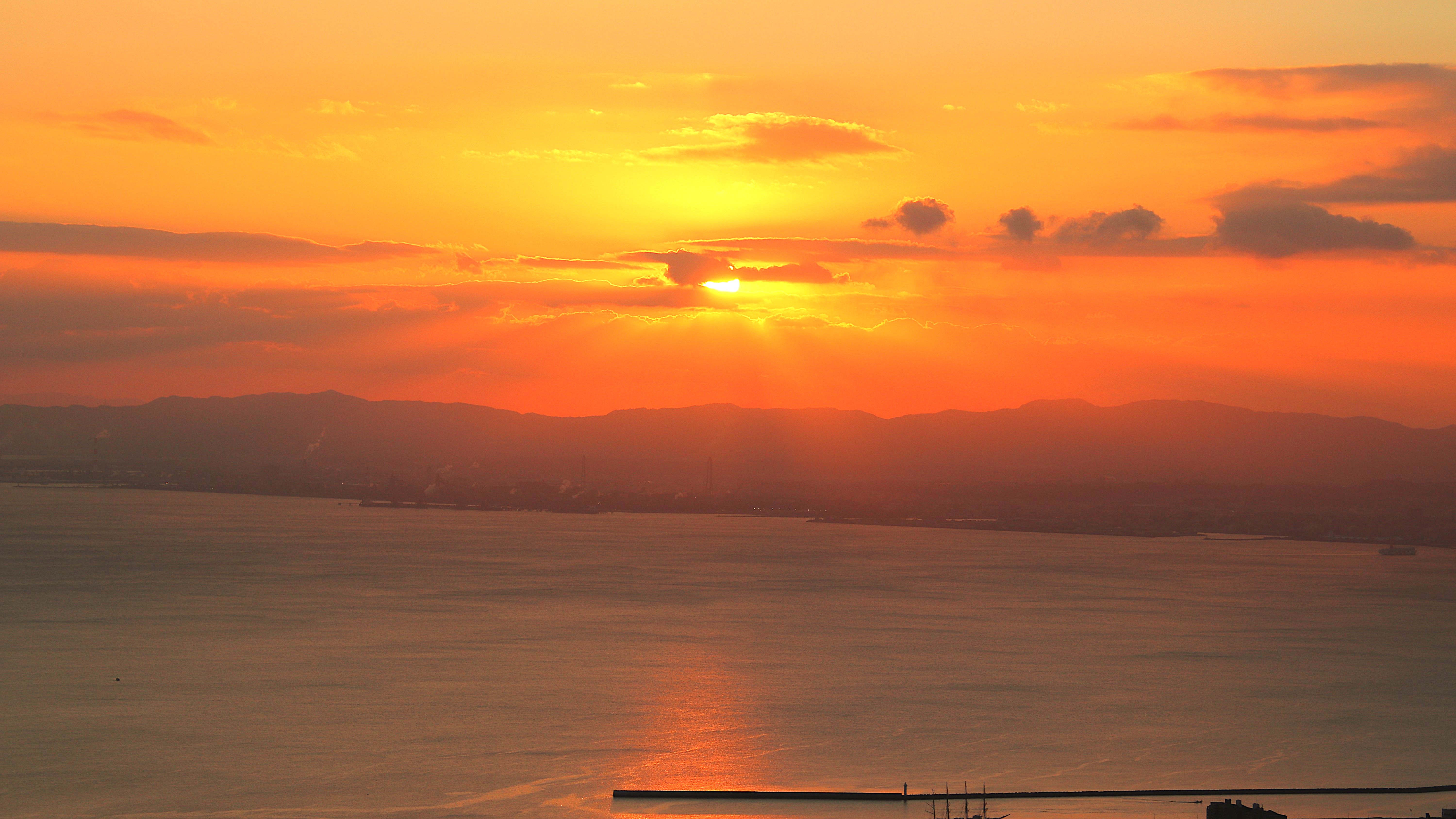 本年も宜しくお願いいたします