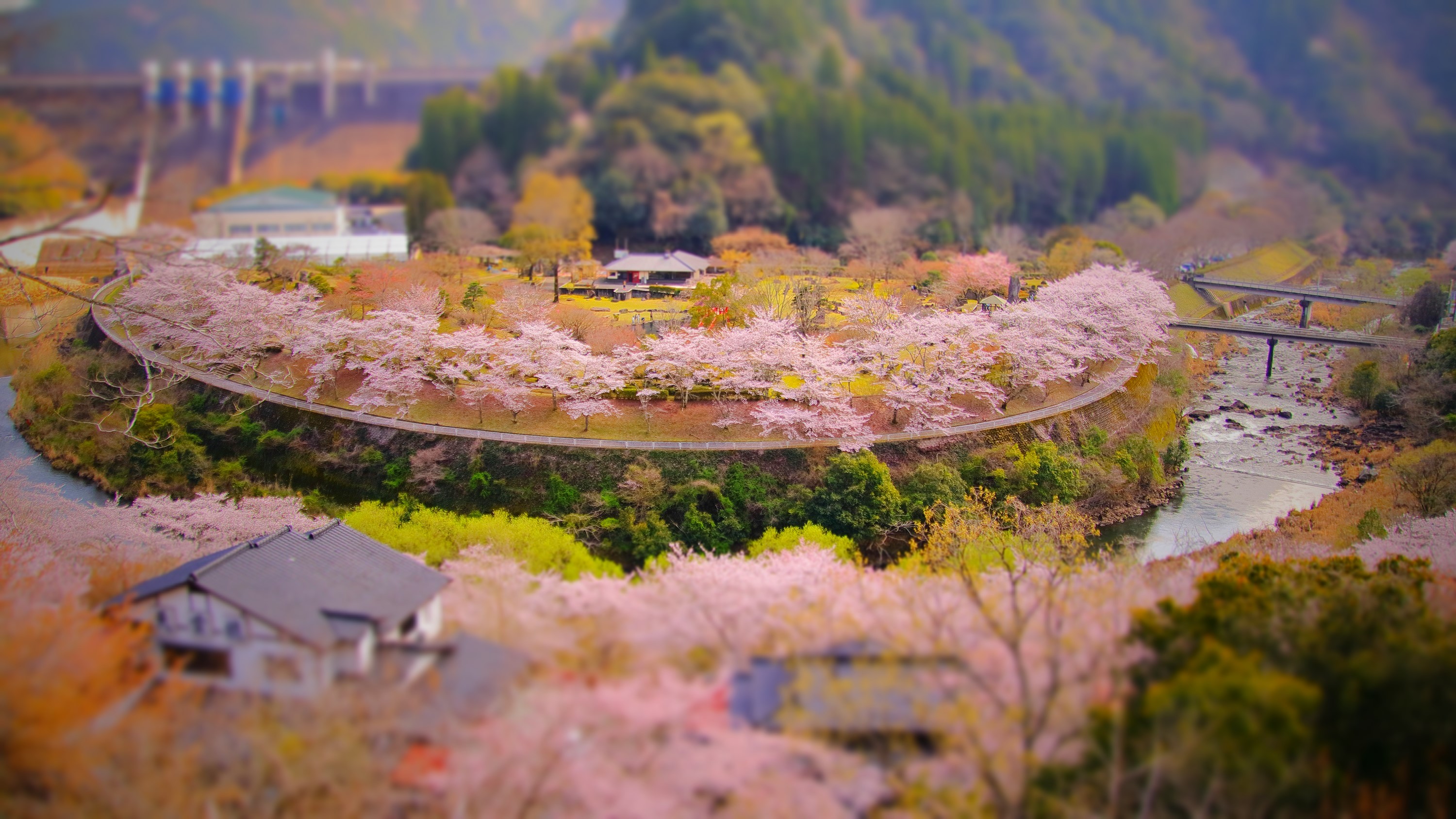 🌸Spring has come　耶馬溪ダム渓石園🌸